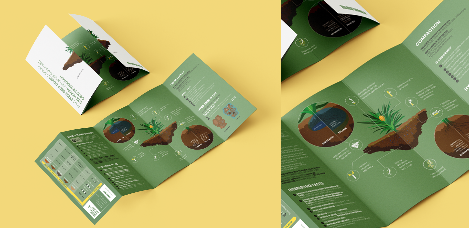 A tri-fold brochure with green and beige colors, displayed partially folded and fully open. The brochure contains illustrations and information about plant care. The text includes headings, circular diagrams, infographics, and icons related to plant instructions.