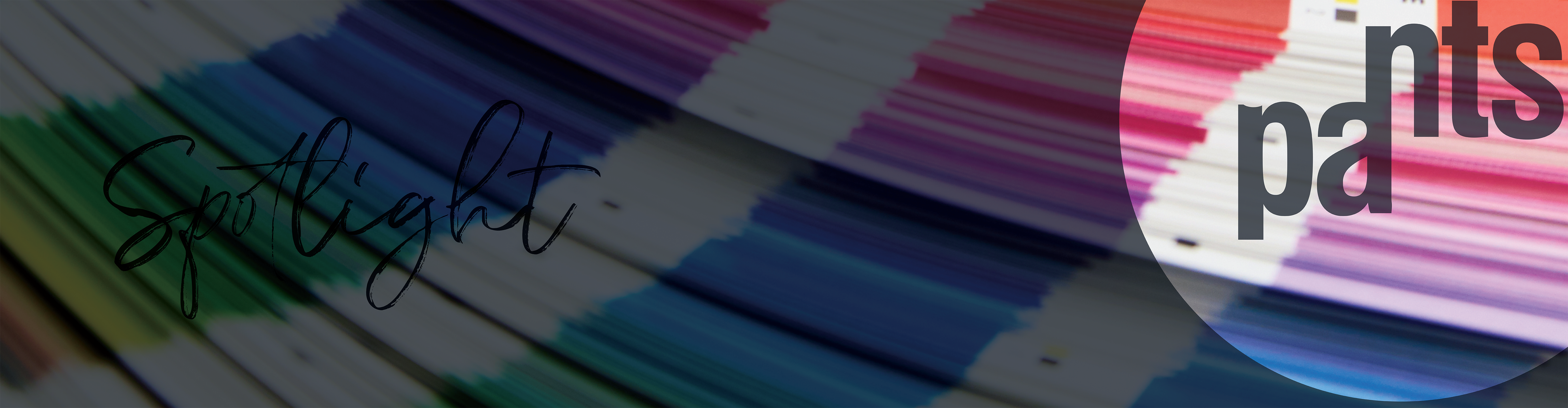 A close-up view of a fan spread of Pantone color swatches in various shades, ranging from greens to blues to pinks. The image has text overlays with the words "Spotlight" in a cursive font and "Pants" in a bold, fragmented style.